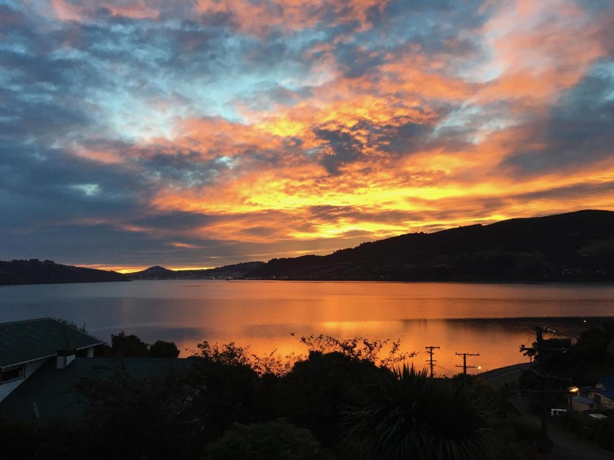Otago Peninsula Paradise Dunedin Exterior foto