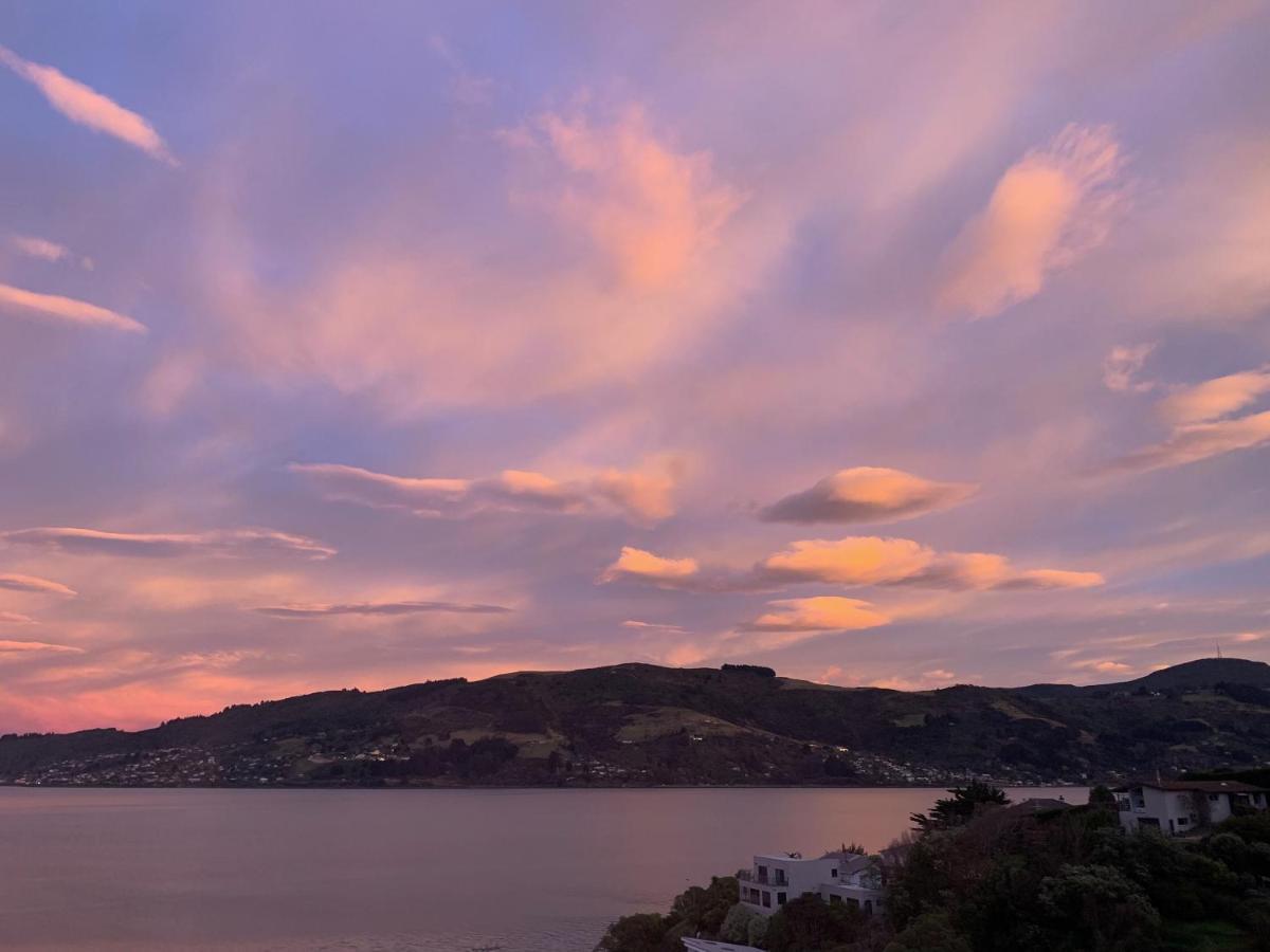Otago Peninsula Paradise Dunedin Exterior foto