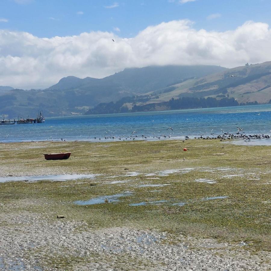 Otago Peninsula Paradise Dunedin Exterior foto