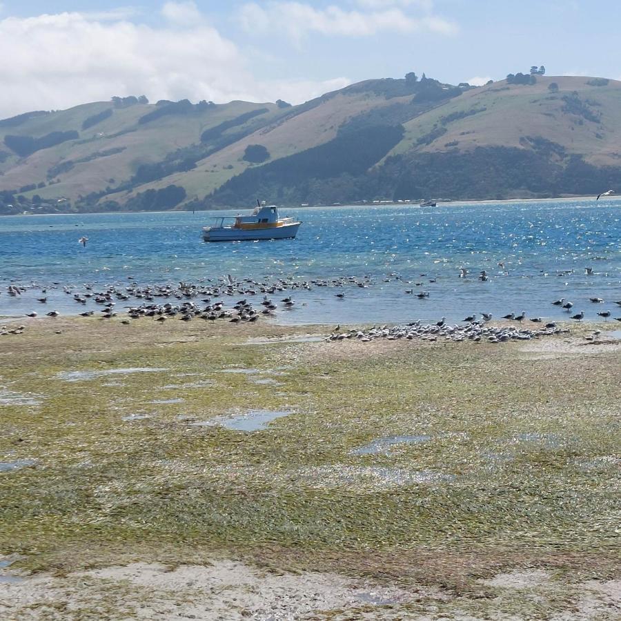 Otago Peninsula Paradise Dunedin Exterior foto