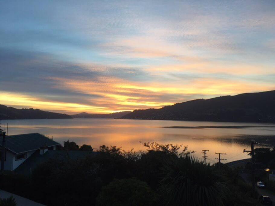 Otago Peninsula Paradise Dunedin Exterior foto